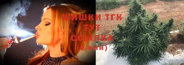 гидропоника Алзамай